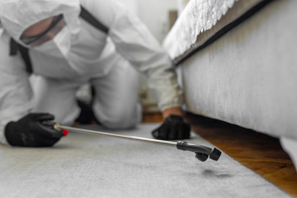 Professional Ant Control technician working in Havana, IL