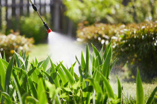 24/7 Emergency Ant Control experts in Havana, IL