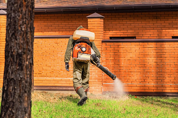 Trusted Rodent Control service in Havana, IL - Nex Pest Control